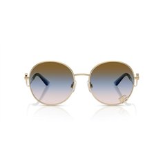 Dolce & Gabbana DG2324 488/U6 2