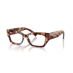 Dolce & Gabbana DG3387 3462