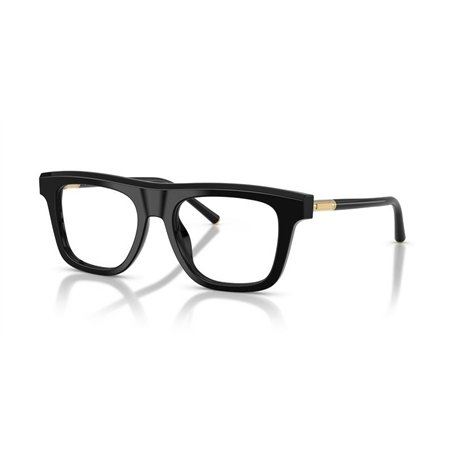 Dolce & Gabbana DG3434 501