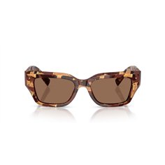 Dolce & Gabbana DG4462 346273 2