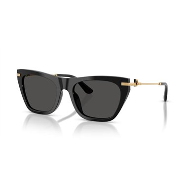 Dolce & Gabbana DG4511 501/87