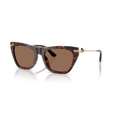 Dolce & Gabbana DG4511 502/73