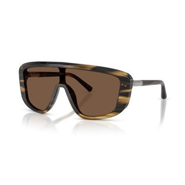Dolce & Gabbana DG4520 306373