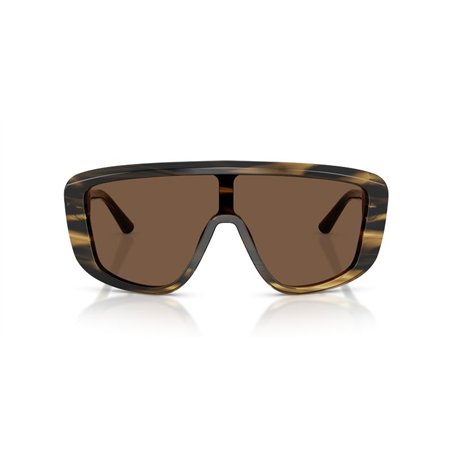 Dolce & Gabbana DG4520 306373