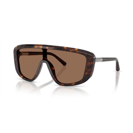 Dolce & Gabbana DG4520 502/73