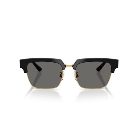 Dolce & Gabbana DG4522 501/1