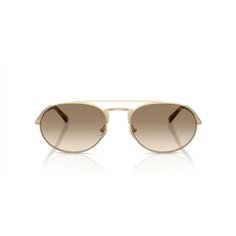 Emporio Armani EA2171 300213 2