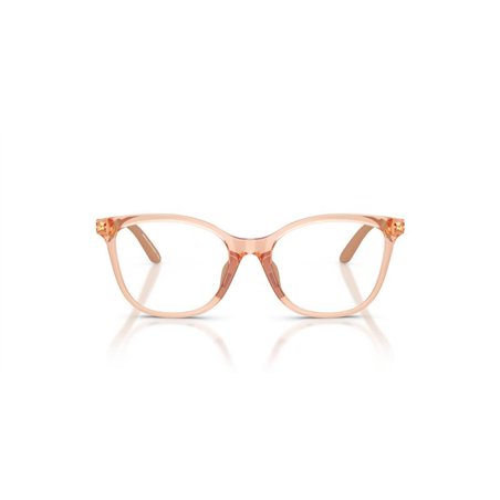 Emporio Armani EK3011U 6347