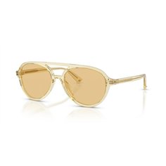 Jimmy Choo JC5055U 5083/8