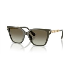 Michael Kors PIEDMONT MK2263U 39023M