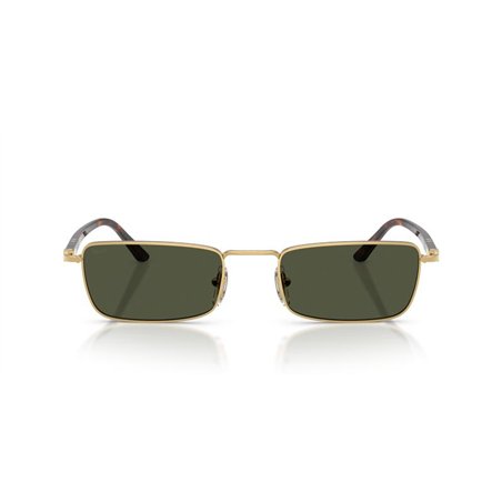Persol PO1025S 515/31
