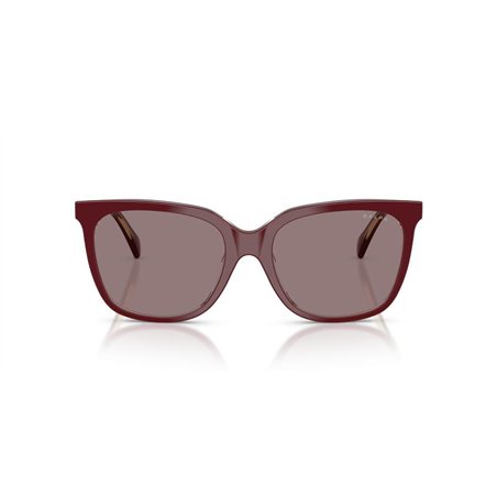 Ralph de Ralph Lauren RA5343U 62997N