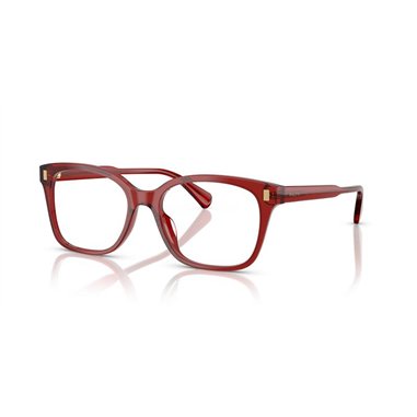 Ralph de Ralph Lauren RA7174U 6320