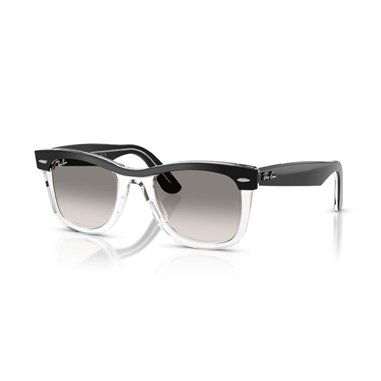 Ray-Ban WAYFARER RB2240 129432