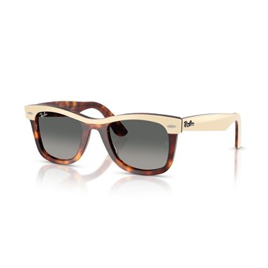 Ray-Ban WAYFARER RB2240 144371