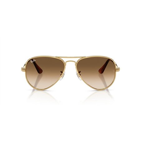 Ray-Ban AVIATOR MAX RB3925 001/51
