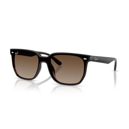 Ray-Ban RB4466D 714/13