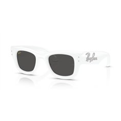 Ray-Ban WAYFARER PUFFER RB4940B 686387