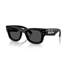 Ray-Ban WAYFARER PUFFER RB4940B 686487