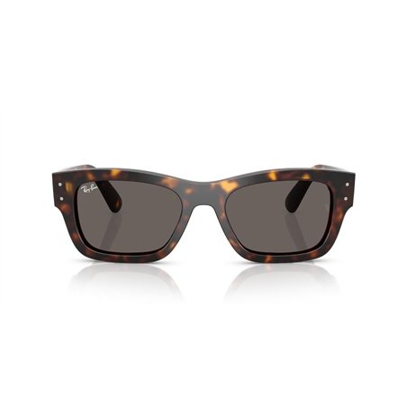 Ray-Ban JOSEPH RB7683S 902/B1