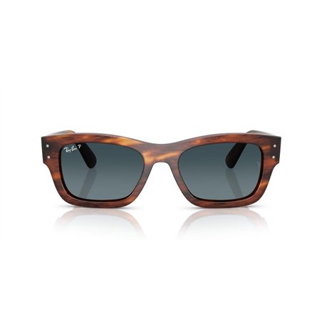 Ray-Ban JOSEPH RB7683S 954/S3