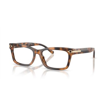 Ralph Lauren RL6255U 6089