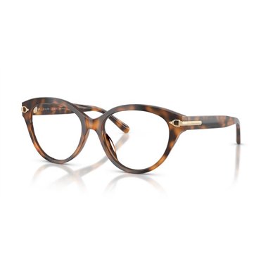 Ralph Lauren RL6256U 6089