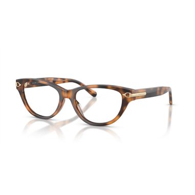 Ralph Lauren RL6257U 6089