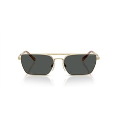 Ralph Lauren RL7092 911687 2