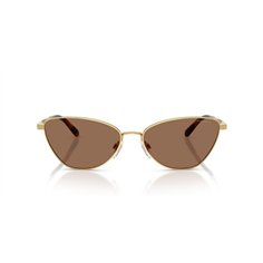 Ralph Lauren RL7093 900473 2