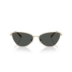 Ralph Lauren RL7093 911687 2