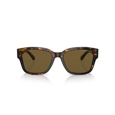 Ralph Lauren THE RL 50 RL8205 513480 2