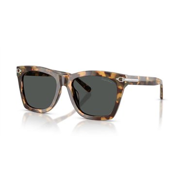 Ralph Lauren RL8235U 617887