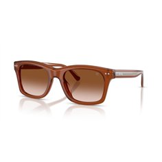 Ralph Lauren RL8237U 630613