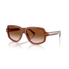 Ralph Lauren RL8238U 630613