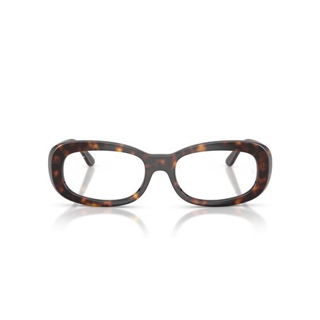 Ray-Ban RX2221V 2012