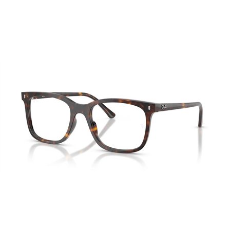 Ray-Ban RX5446 2012