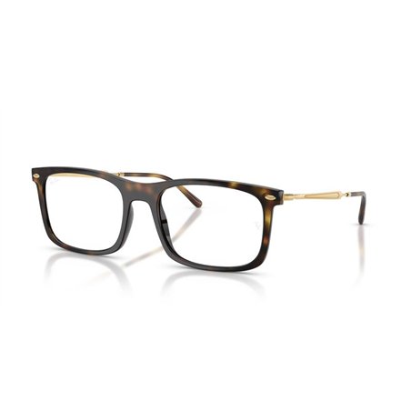 Ray-Ban RX7260 2012