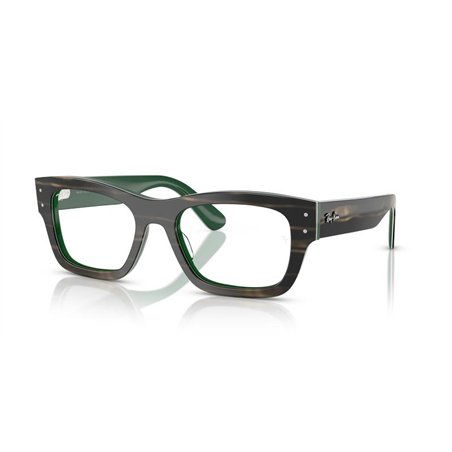Ray-Ban JOSEPH RX7683V 8392