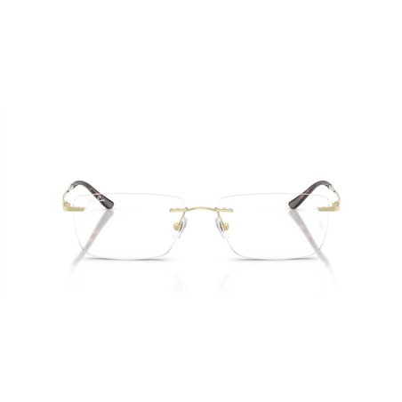 Ray-Ban RX8781D 1251