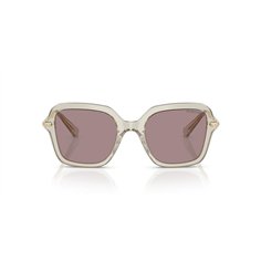 Swarovski SK6040 3003LA 2
