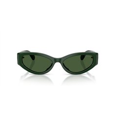 Swarovski SK6045U 102671 2