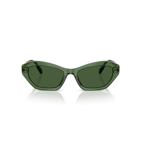 Swarovski SK6048 108571