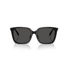 Swarovski SK6053D 103887 2