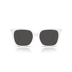 Swarovski SK6053D 105087 2