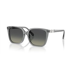 Swarovski SK6053D 106211