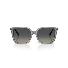 Swarovski SK6053D 106211 2