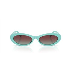 Tiffany TF4250 8388V5 2