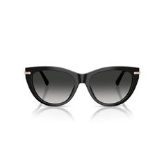 Tiffany TF4253 80013C 2