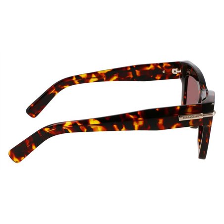 Salvatore Ferragamo SF2031S 242
